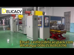 Delicacy Brand w pełni zautomatyzowana linia produkcyjna z dwustronnymi puszekami